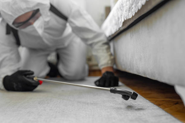 Professional Bed Bug Control technician working in Little Falls, MN